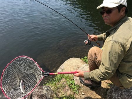 平谷湖フィッシングスポット 釣果