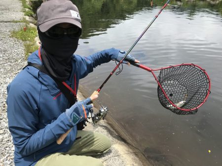 平谷湖フィッシングスポット 釣果