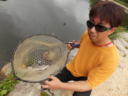 平谷湖フィッシングスポット 釣果