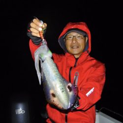 South Current 釣果