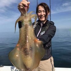 South Current 釣果