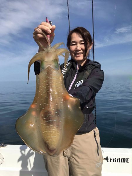 South Current 釣果