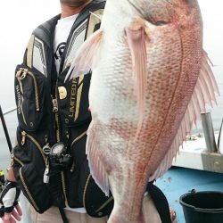 シースナイパー海龍 釣果