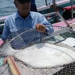 ぽん助丸 釣果