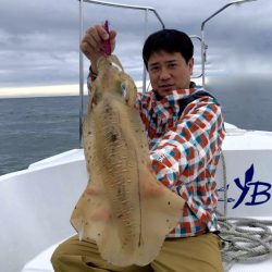 South Current 釣果