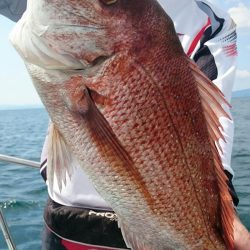 シースナイパー海龍 釣果