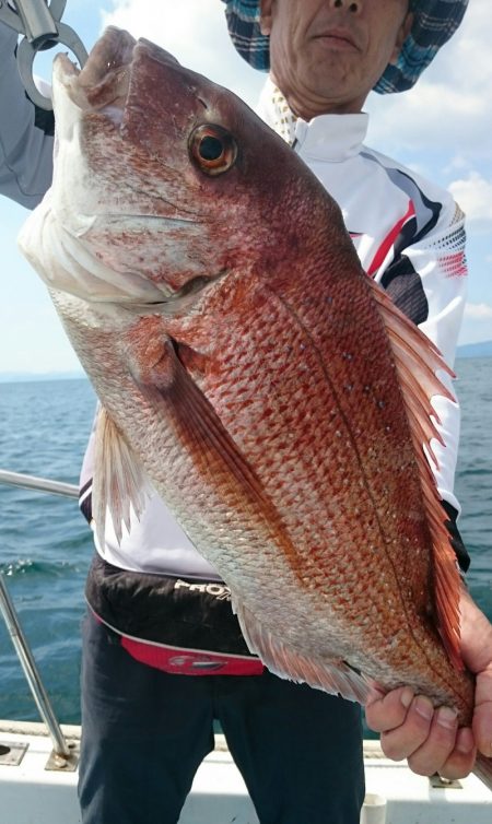 シースナイパー海龍 釣果
