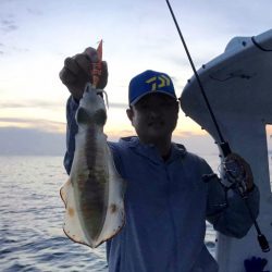 South Current 釣果