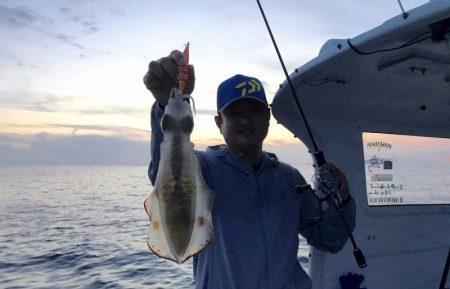 South Current 釣果