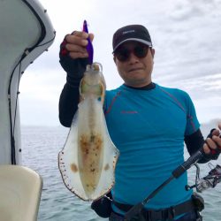 South Current 釣果