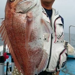 シースナイパー海龍 釣果