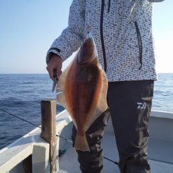 ひな丸 釣果