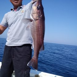 ひな丸 釣果