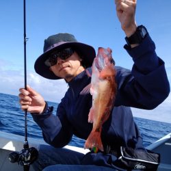 ひな丸 釣果