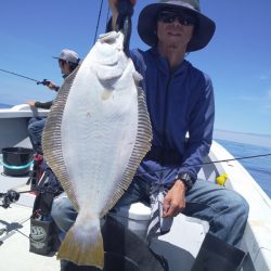 ひな丸 釣果