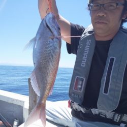 ひな丸 釣果