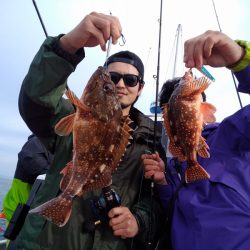 ひな丸 釣果