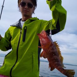 ひな丸 釣果
