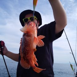 ひな丸 釣果