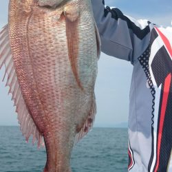 シースナイパー海龍 釣果