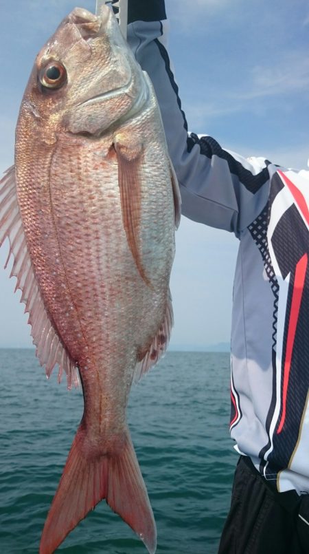 シースナイパー海龍 釣果