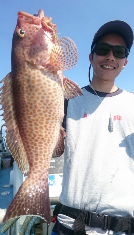 シースナイパー海龍 釣果
