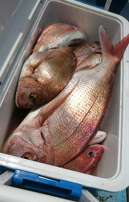 シースナイパー海龍 釣果