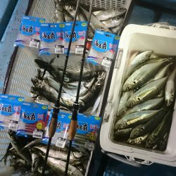 シースナイパー海龍 釣果