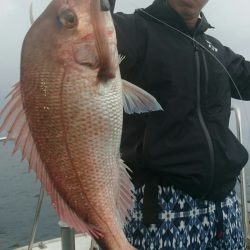 シースナイパー海龍 釣果