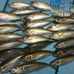 シースナイパー海龍 釣果