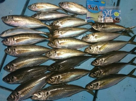 シースナイパー海龍 釣果