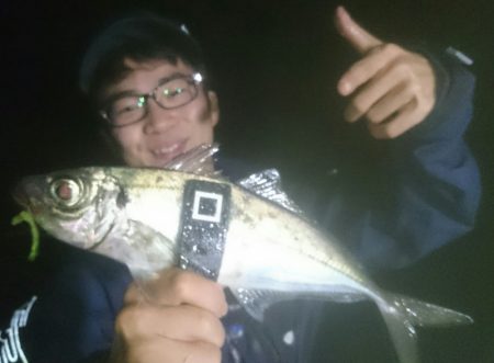 シースナイパー海龍 釣果