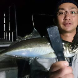 シースナイパー海龍 釣果