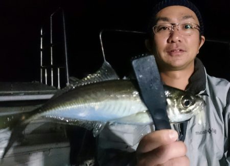 シースナイパー海龍 釣果