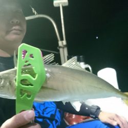 シースナイパー海龍 釣果