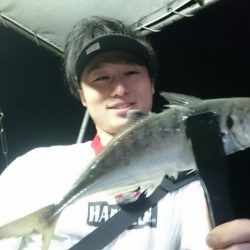 シースナイパー海龍 釣果