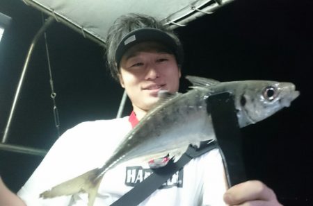 シースナイパー海龍 釣果