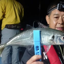 シースナイパー海龍 釣果