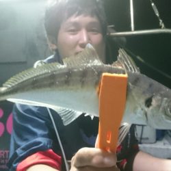 シースナイパー海龍 釣果