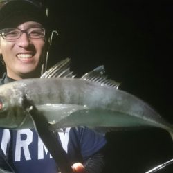 シースナイパー海龍 釣果