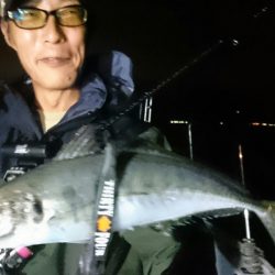 シースナイパー海龍 釣果