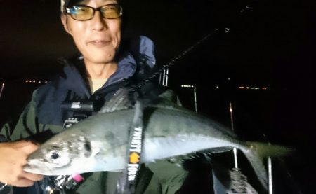 シースナイパー海龍 釣果