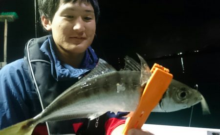 シースナイパー海龍 釣果