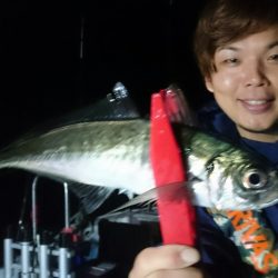 シースナイパー海龍 釣果