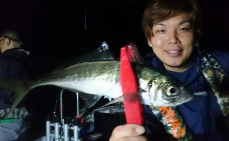 シースナイパー海龍 釣果