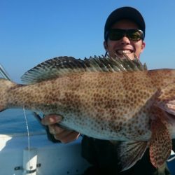 シースナイパー海龍 釣果