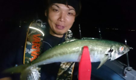 シースナイパー海龍 釣果