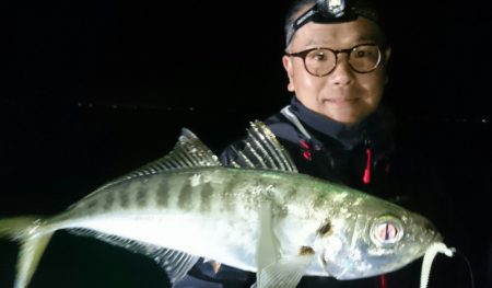 シースナイパー海龍 釣果