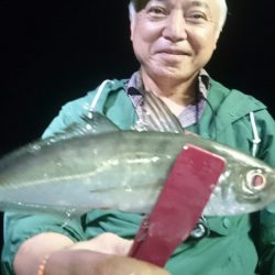 シースナイパー海龍 釣果