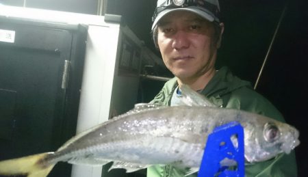 シースナイパー海龍 釣果
